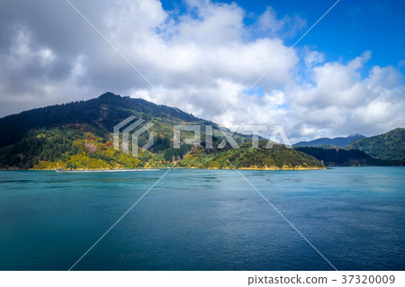 Marlborough Sounds, New Zealand 37320009