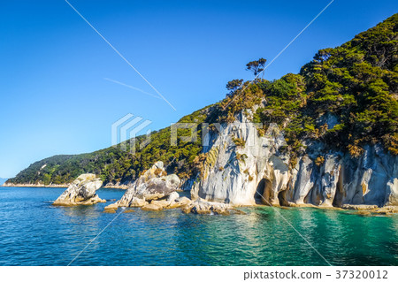 Creek in Abel Tasman National Park, New Zealand Creek in Abel Tasman National Park, New Zealand 37320012