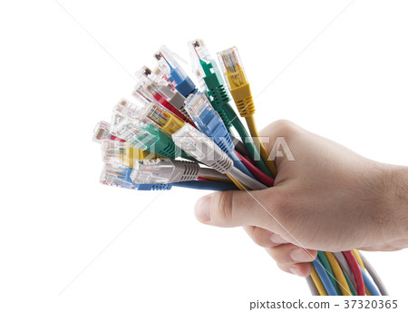 Hand holding colorful internet cables Hand holding colorful internet cables 37320365