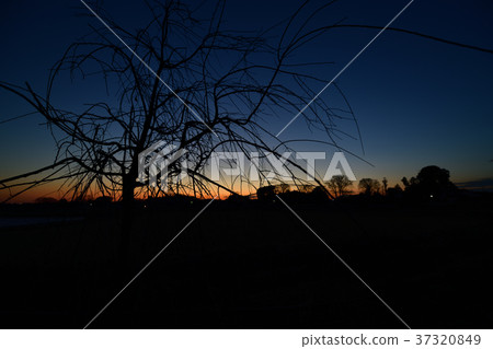 農村黃昏 37320849