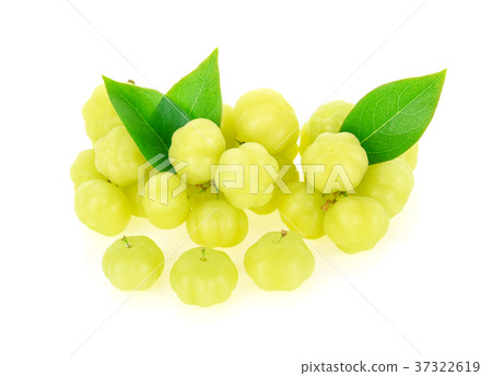 star gooseberry on white background star gooseberry on white background 37322619