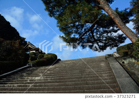 Momoyama morning Momoyama morning 37323271