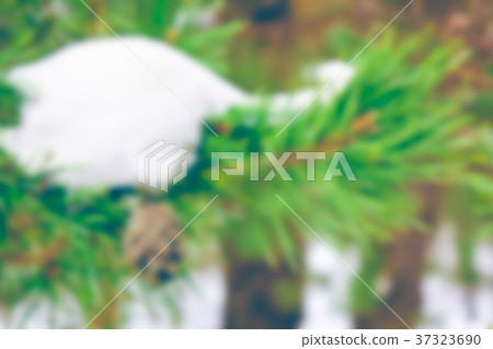 Winter landscape - blurred image Winter landscape - blurred image 37323690