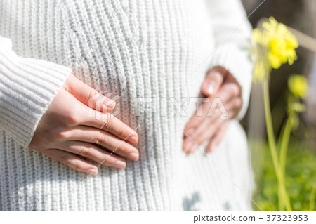 Mid-pregnancy Mid-pregnancy 37323953