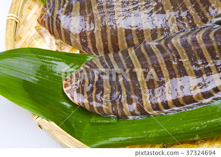 Shimaushi Noshita Food Shimaushi Noshita Food 37324694