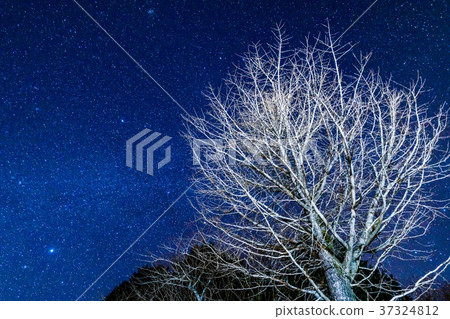滿天星斗的天空和充分的天空自然風景 37324812