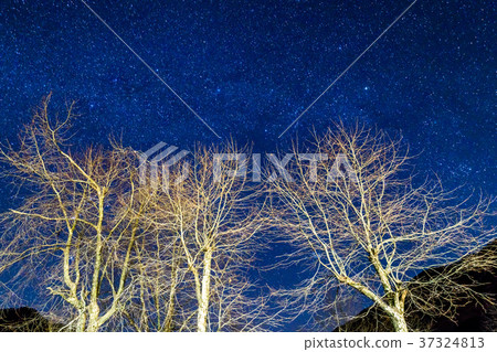 Starry sky and natural scenery of full sky 37324813