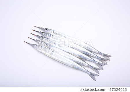 Sayory ingredients 37324913