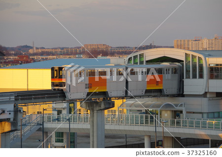 晚上和多摩市單軌鐵路 37325160