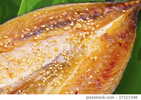 米林在鯖魚中晾乾 37325386