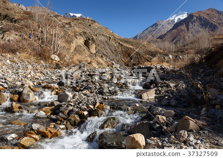 mountain stream in the gorge 37327509