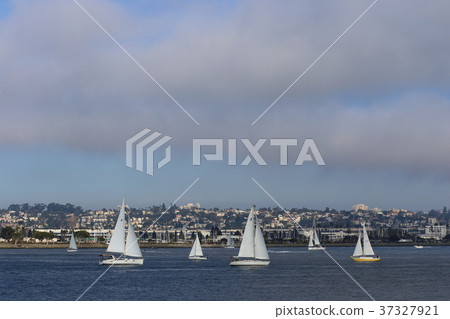 Landscape of San Diego Bay (California, USA) 37327921