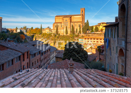 Siena. Basilica of St. Dominic. Siena. Basilica of St. Dominic. 37328575