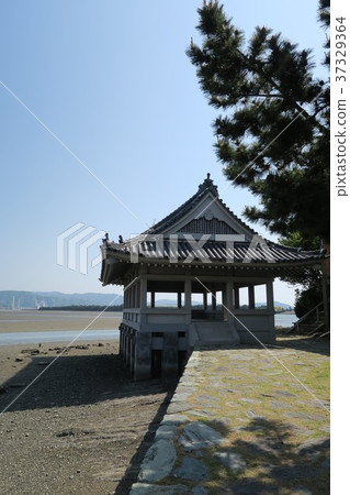 Royal palace Royal palace 37329364