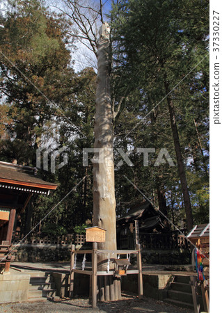 Suwa Taisha Shimosha Akinomiya Kazuyuki Onchi Suwa Taisha Shimosha Akinomiya Kazuyuki Onchi 37330227