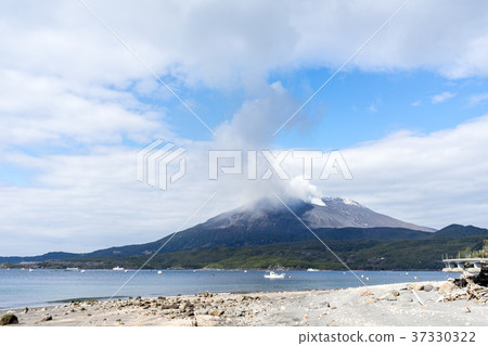 櫻島雪妝 櫻島雪妝 37330322