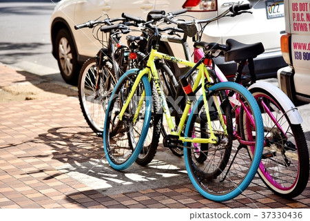 夏威夷的假期 夏威夷的假期 37330436