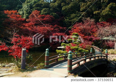 秋葉1調味花園 37330651