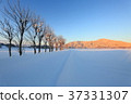 雪越後平野日出 37331307