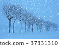 小雪是小月 37331310