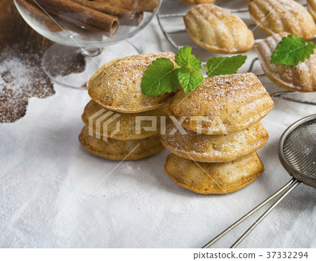 Pinnacle of the Madeleine cookies, powdered sugar Pinnacle of the Madeleine cookies, powdered sugar 37332294