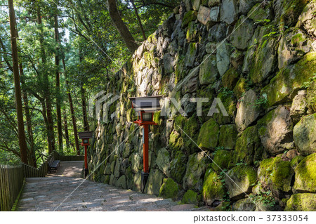 Beautiful approach way scenery 37333054