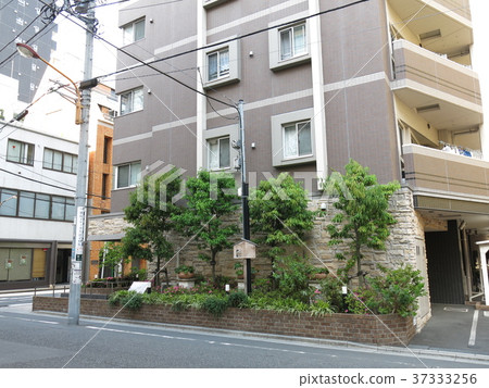 基拉豪宅廢墟後面門在Sumida病區 基拉豪宅廢墟後面門在Sumida病區 37333256