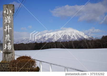 South Katafuji in the midwinter 37333282