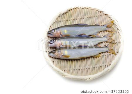 Natural ayu 37333395