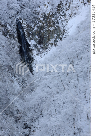 Shiga Kogen Takiman waterfall in winter 37333414
