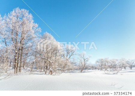 笠原湖霧冰 37334174