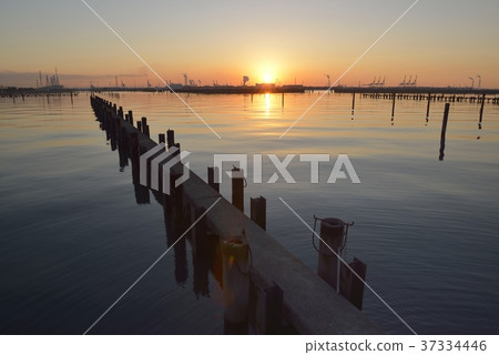 日出 日出 37334446