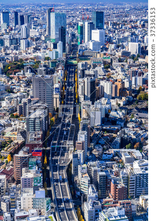 東京 從鳥瞰俯瞰城市的城市景觀 照片素材 圖片 圖庫