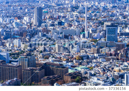 《東京》從鳥瞰俯瞰城市的城市景觀 37336156