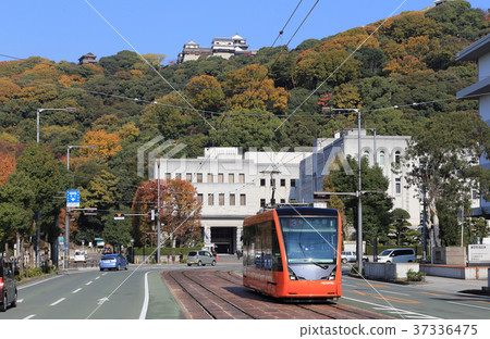 Tramway running in front of the prefectural office and city hall with Matsuyama Castle in the back (Moha 5000) 37336475
