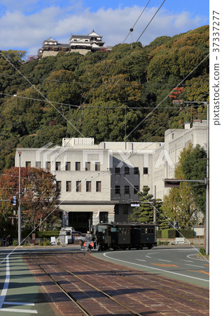 運行在縣政廳和市政廳前面的Botchan火車有鬆山城堡的在背景中 37337277