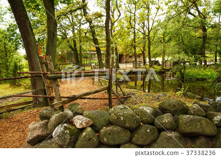 Rural scene Rural scene 37338236