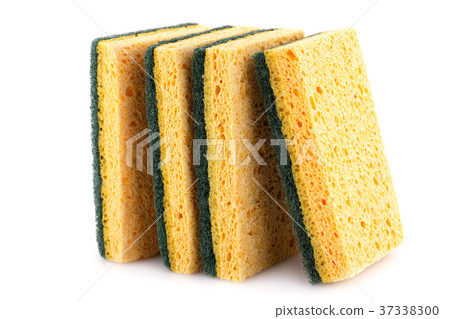 Sponges Sponges 37338300