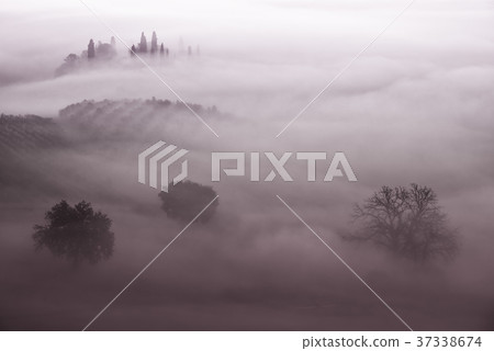 Drowned in the fog 37338674