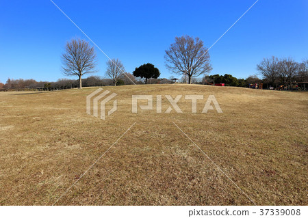 Misato Park自由廣場（1月）埼玉縣美里市 37339008