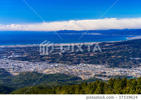 《靜岡縣》俯瞰沼津市和駿河灣的風景 37339624