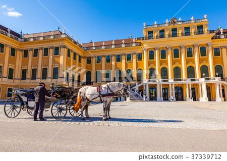 Horse coach and a coachman 37339712