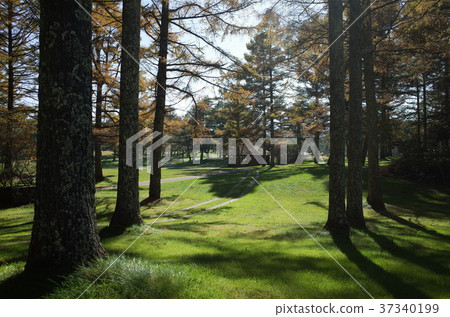 Karuizawa Golf 10 Karuizawa Golf 10 37340199
