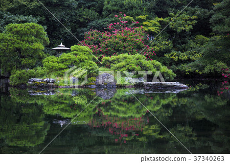日式庭園 日式庭園 37340263
