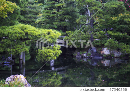 日式庭園 37340266