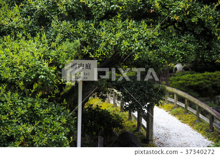 日式庭園 日式庭園 37340272