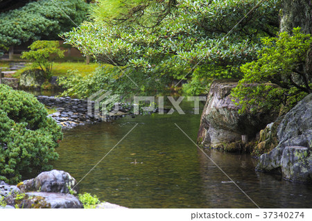 日式庭園 日式庭園 37340274