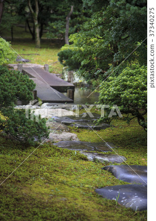 日式庭園 37340275
