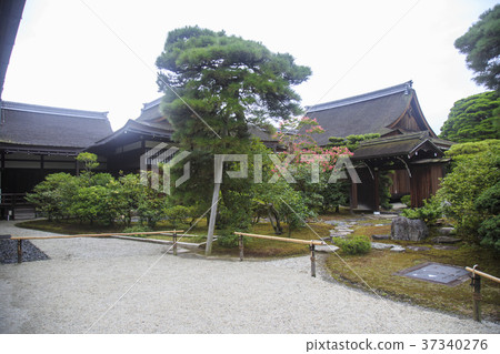 日式庭園 37340276