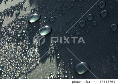 水珠 水 珍珠 一串珠 37341763